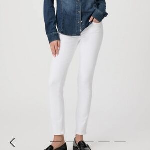 Paige Hoxton Ankle